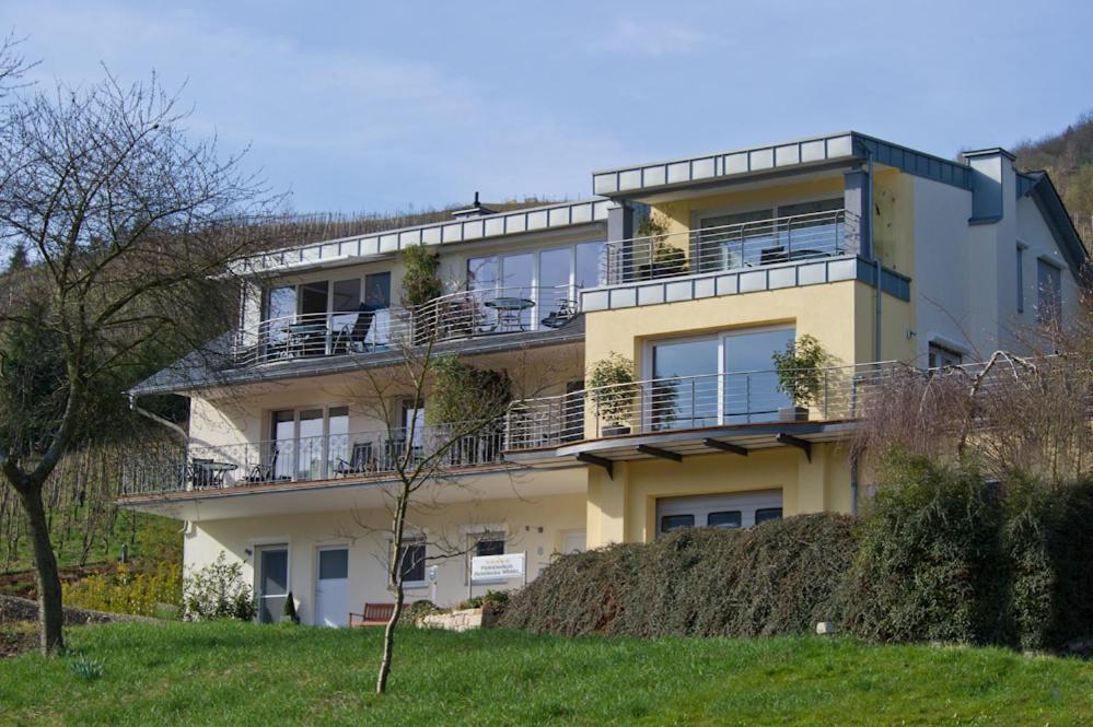 Ferienhaus Panorama Mosel Рейл Экстерьер фото